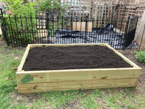 Garden bed from 2022
